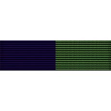 Arizona National Guard Community Service Ribbon